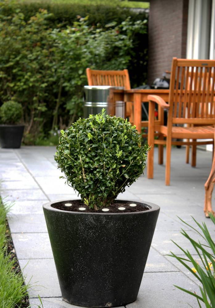 купить Ландшафтный светодиодный спот SPINETOLI 2, LED 6X0,4W, IP65, L6900, B30, H10, ET500, пластик, полупрозрачный в Москве купить Ландшафтный светодиодный спот SPINETOLI 2, LED 6X0,4W, IP65, L6900, B30, H10, ET500, пластик, полупрозрачный