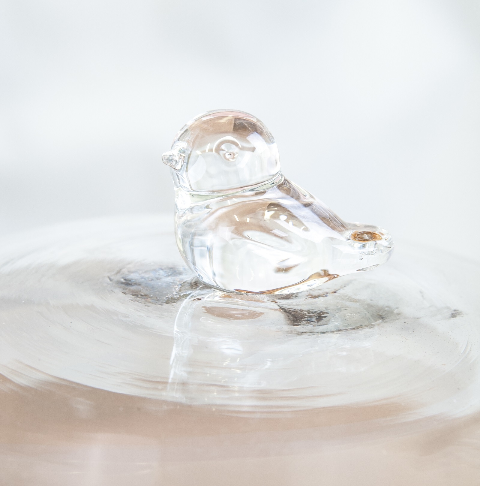 купить Колпак для цветов Helena Vase