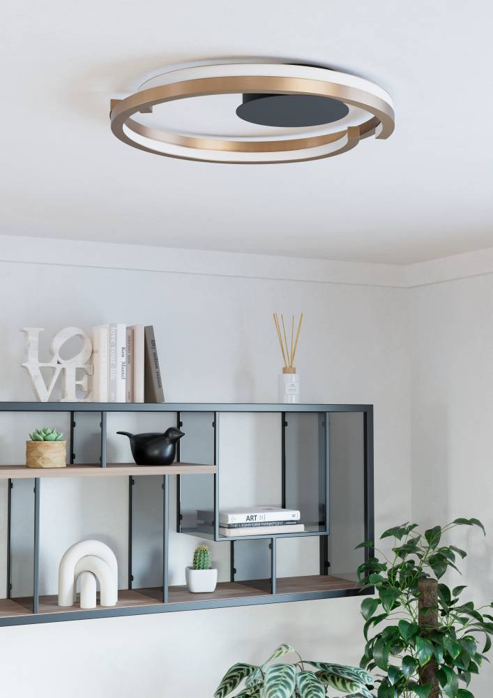 купить 901825 Светодиодный настенно-потолочный светильник с регулировкой цветовой температуры MEZZOMONTE, 1X20W 1X20W(LED LED), 2700-6500K, 2220 2220lm, алюм