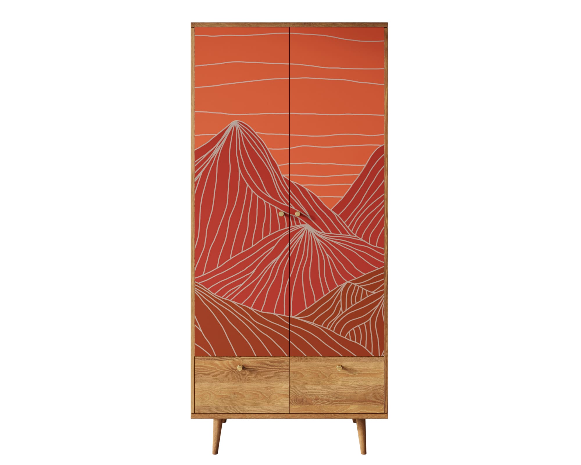 заказать Шкаф двухстворчатый "Berber" принт 49 арт BB16/Print_49