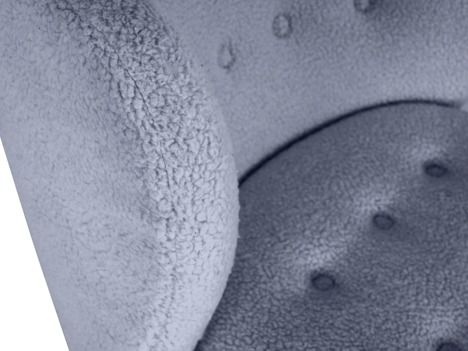 Кресло Lounge Wood в интернет-магазине