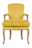 Мягкое полукресло с подлокотниками Anver Oak Yellow