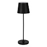 75794 Аккум. настольная лампа CABOZO сенсорн., дим.(USB), 3,8W(LED), H370, ?110,  IP44, пластик, черный
