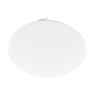 97872 Светильник настенно-потолочный светодиодный FRANIA