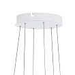 Светодиодный подвес PENAFORTE 39273 №0