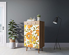 Комод "Berber" два ящика и дверки 47 принт арт BB46/Print_47 №2