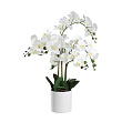 428024 Искусственное растение в горшке HYUGA, H650, ?500, пластик, белый №0