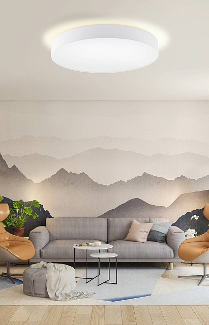 97615 Светильник потолочный PASTERI