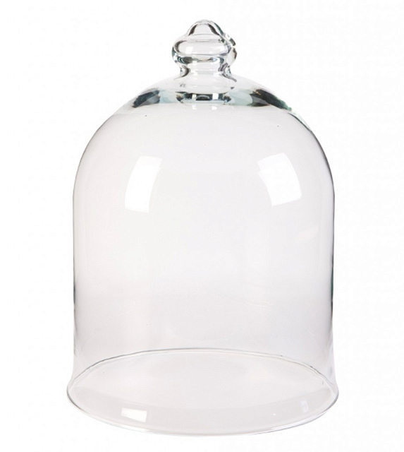 Колпак для цветов Agatha Vase