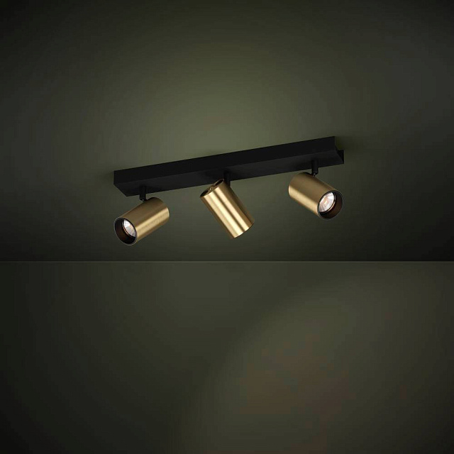 Спот CUMARIBO 390084 в Москве Спот CUMARIBO 390084