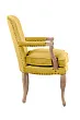 Мягкое полукресло с подлокотниками Anver Oak Yellow №2
