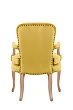 Мягкое полукресло с подлокотниками Anver Oak Yellow №3