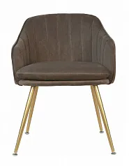 фото Стул Aqua Steel Brown в интерьере