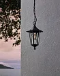 22471 Уличный подвесной светильник LATERNA 4 №1