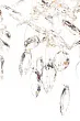 Люстра Crystis 670 №6