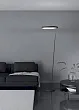 390167 Торшер диммируемый CAREDARA №1