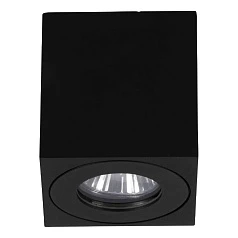 купить 901029 Уличный потолочный светильник TORRECOLA, 1X35W (GU10), IP44, H85, алюминий, пластик, чёрный/прозрачное стекло в интернет-магазине