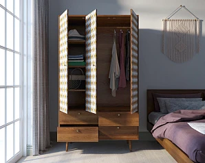 заказать Шкаф трехстворчатый "Berber" принт 22 арт BB02/Print_22 в интернет-магазине