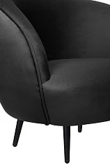 фото Мягкое кресло для гостиниц Small Benee Black V2