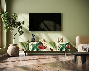 заказать Комод "Berber" с ящиками низкий под TV арт BB19/Print_55 в интернет-магазине