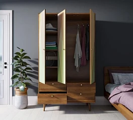 Шкаф трехстворчатый "Berber" принт 16 арт BB02/Print_16 на заказ в интернет-магазине