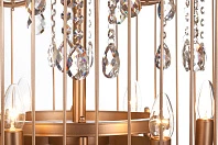 фото Люстра Birdcage D60 Gold в интерьере