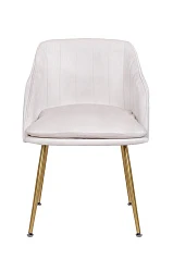 купить стильный Стул Aqua Steel Beige в интернет-магазине