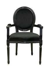 купить красивый Мягкий стул с подлокотниками Diella Black Velvet в интернет-магазине