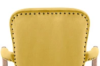 Мягкое полукресло с подлокотниками Anver Oak Yellow в интернет-магазине