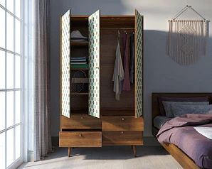 стильный Шкаф трехстворчатый "Berber" принт 24 арт BB02/Print_24 на заказ