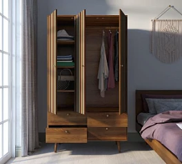 заказать Шкаф трехстворчатый "Berber" принт 20 арт BB02/Print_20 в интернет-магазине