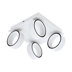 39587 Светод настенно-потолочный светильник ALBARIZA на заказ в интернет-магазине