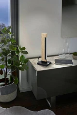 купить Настольная лампа светодиодная диммируемая CAMACHO