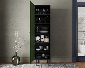 купить Шкаф c одной дверкой "Emerson" арт EM101/green/L в интернет-магазине