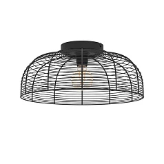 заказать стильные 43896 Потолочная люстра RINROE, 1х40W (E27), H200, ?450, сталь, черный