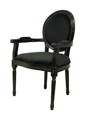 купить красивый Мягкий стул с подлокотниками Diella Black Velvet