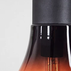 Подвесной потолочный светильник (люстра) CHASELY 43459 в интернет-магазине