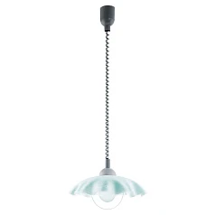 Подвесной потолочный светильник (люстра) BRENDA 87062 в интернет-магазине