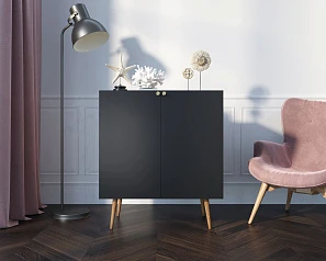 фото Комод "Berber" две дверки малый 33 принт арт BB38/Print_33 в интерьере